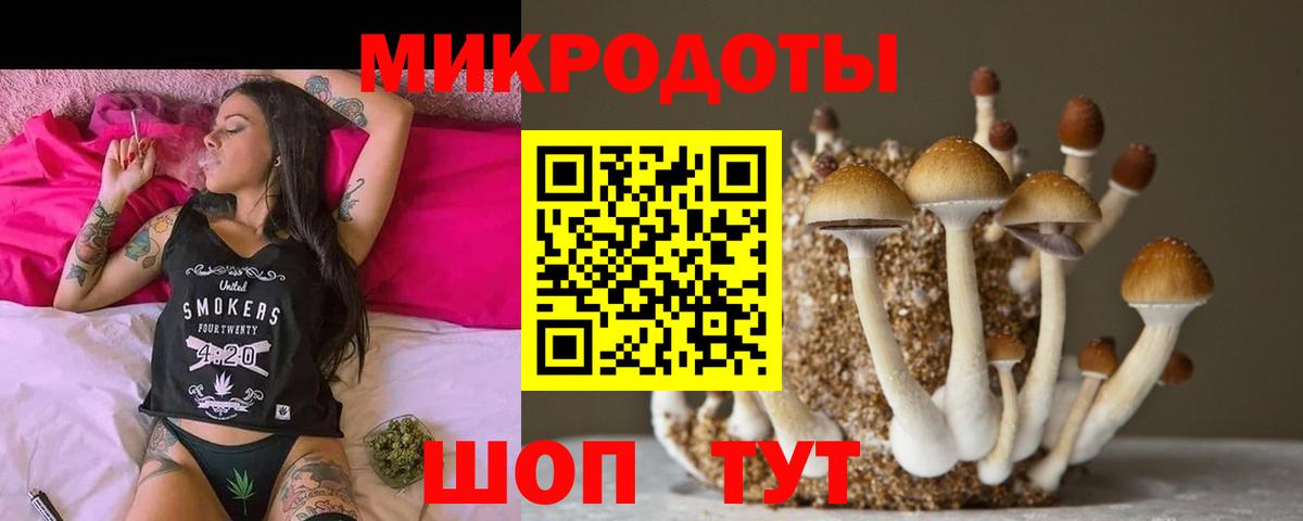 Уссурийск  Псилоцибиновые грибы GOLDEN TEACHER  Галлюциногенные грибы прущие грибы  Вход с VPN 